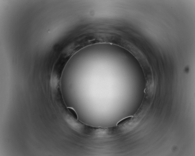 X0000101100574200807031753