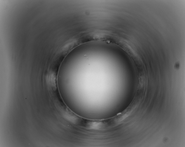 X0000101100575200807031753