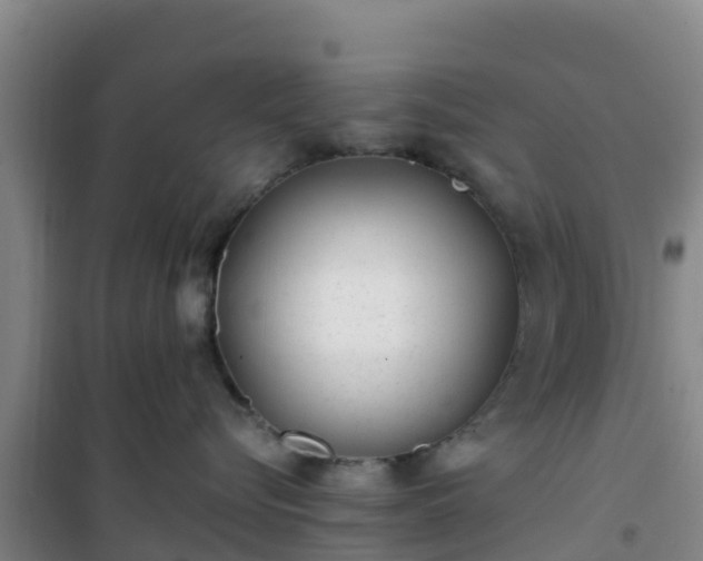 X0000101100576200807031753