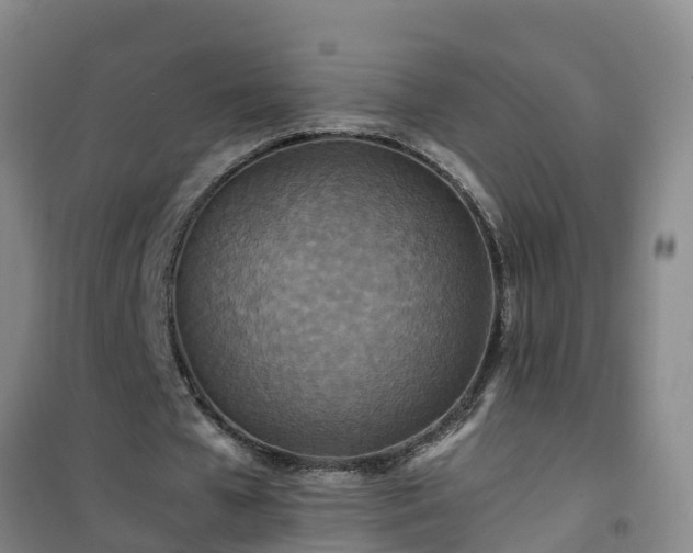 X0000101100577200807031753