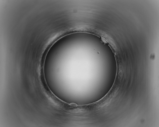 X0000101100578200807031753
