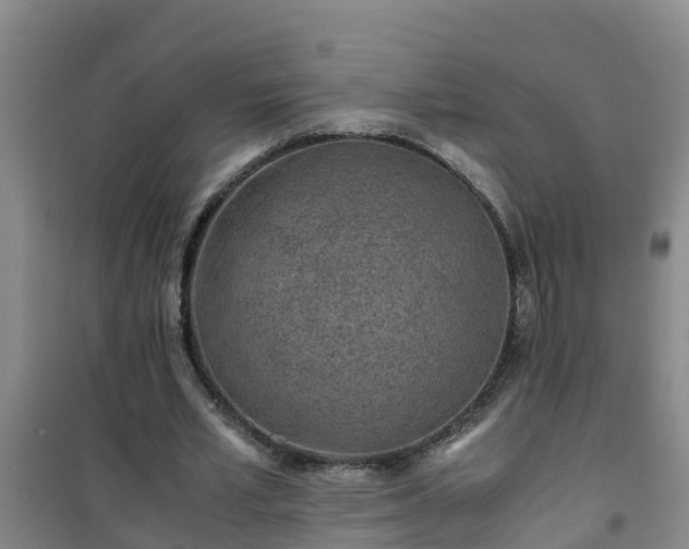 X0000101100581200807031753