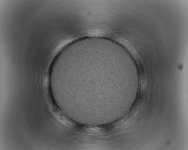 X0000101100583200807031753