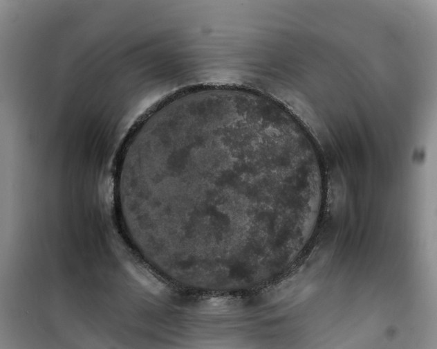 X0000101100584200807031753