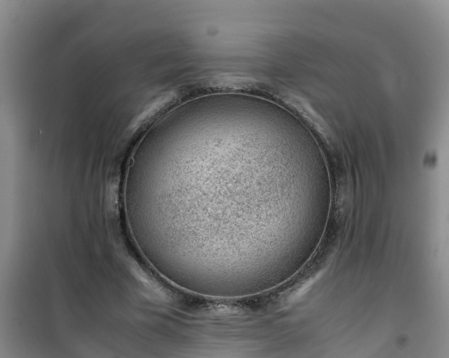 X0000101100585200807031753