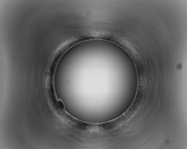 X0000101100587200807031752