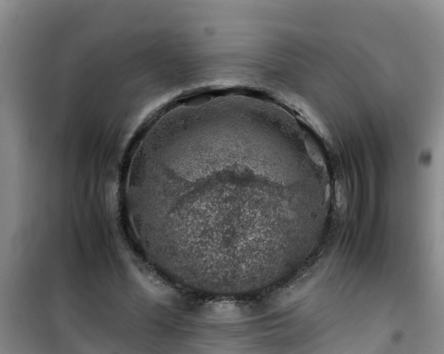 X0000101100588200807031752
