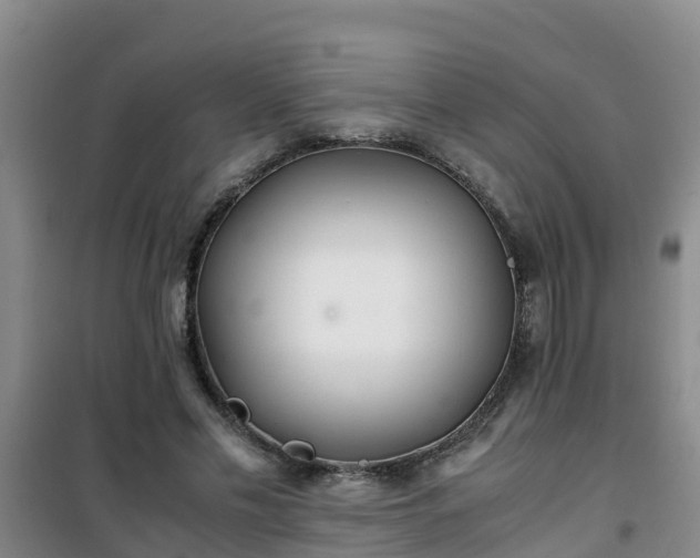 X0000101100589200807031752