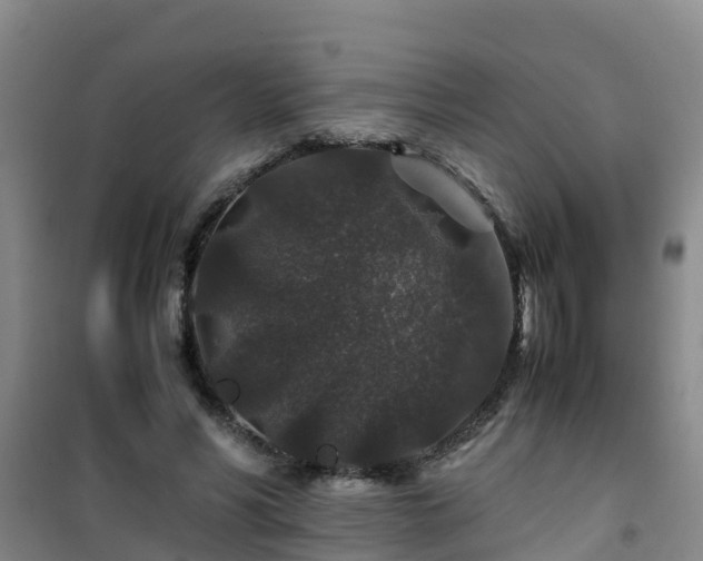 X0000101100590200807031752
