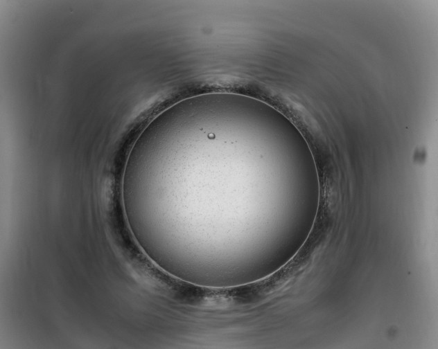 X0000101100591200807031752