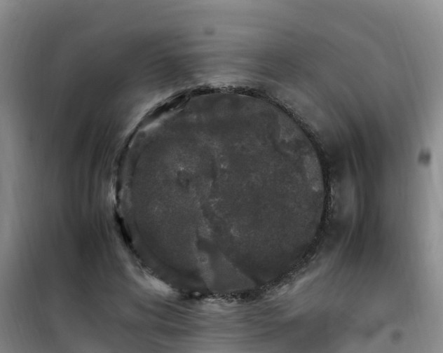 X0000101100592200807031752
