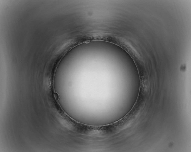X0000101100593200807031752