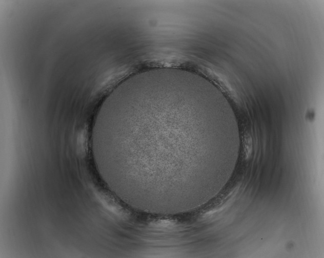 X0000101100594200807031752