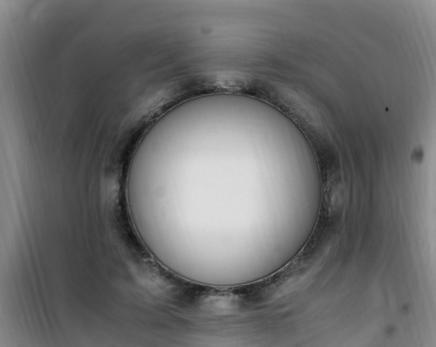 X0000101100595200807031752