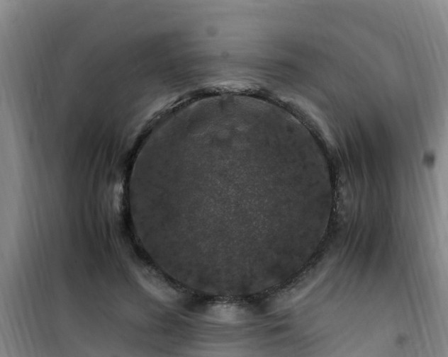 X0000101100596200807031752