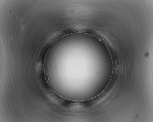 X0000101100597200807031752