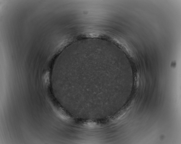 X0000101100598200807031752