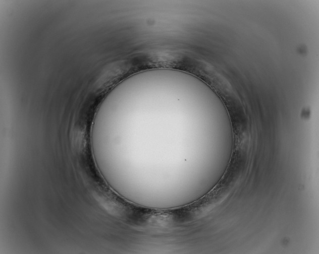 X0000101100599200807031752