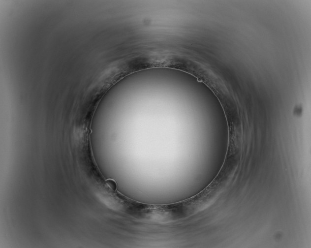 X0000101100601200807031752
