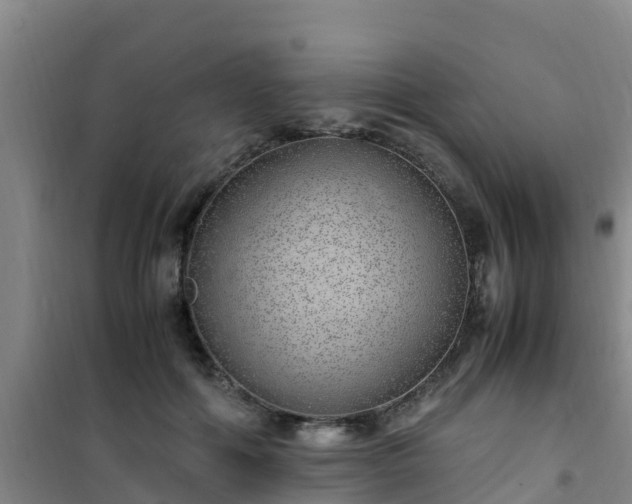 X0000101100602200807031752