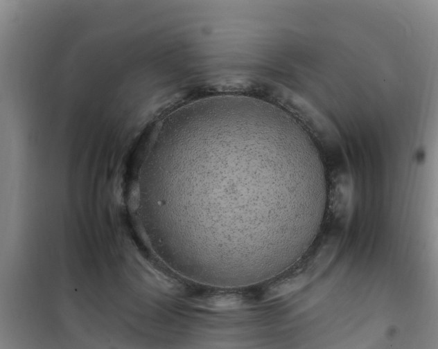 X0000101100604200807031752