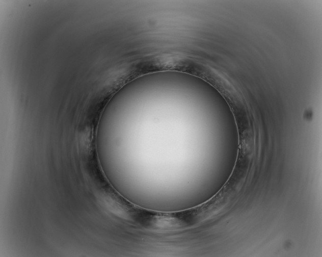 X0000101100605200807031752