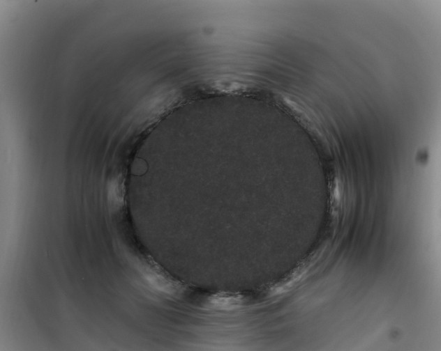 X0000101100606200807031752