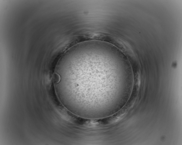 X0000101100607200807031752