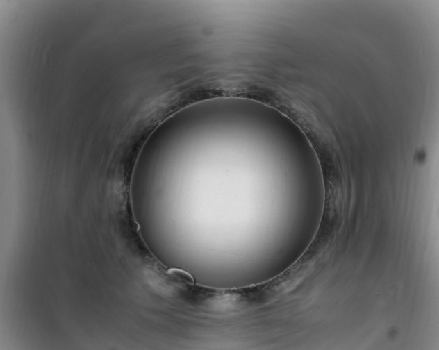 X0000101100609200807031752