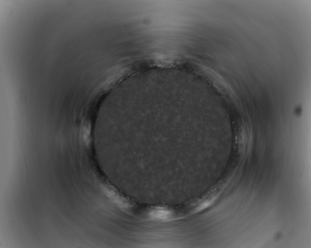 X0000101100610200807031752