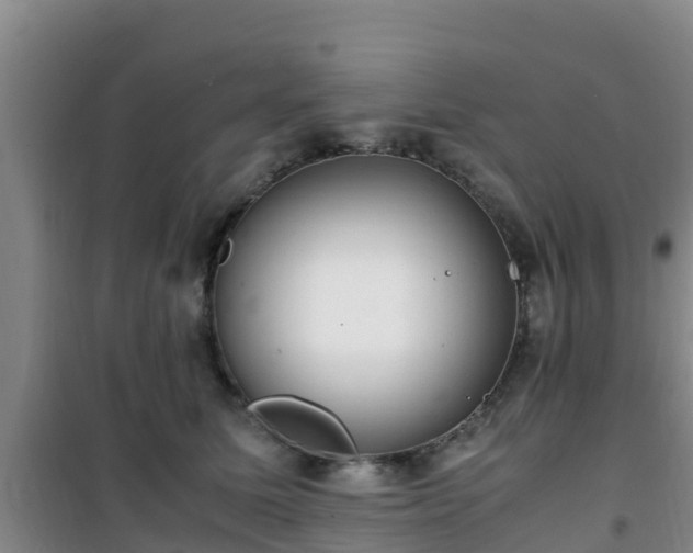 X0000101100611200807031752