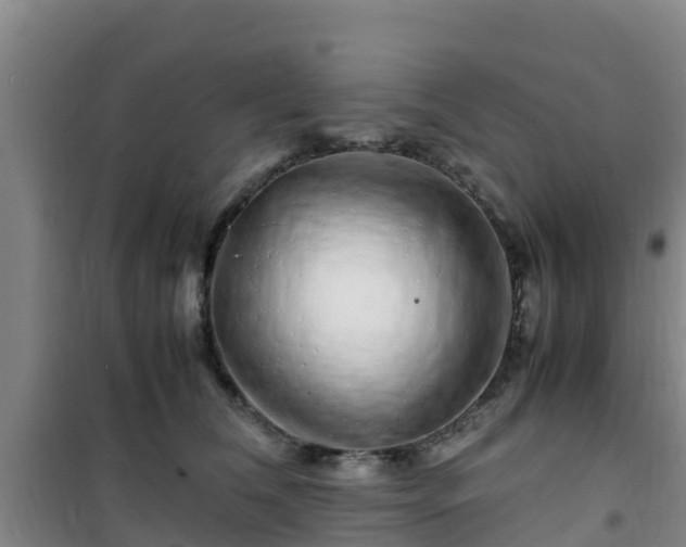 X0000101100612200807031752