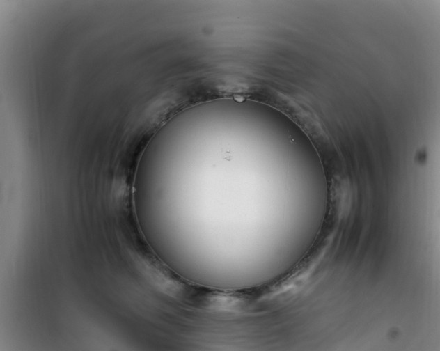 X0000101100614200807031752