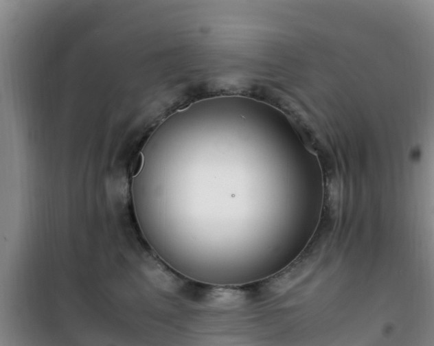 X0000101100617200807031752