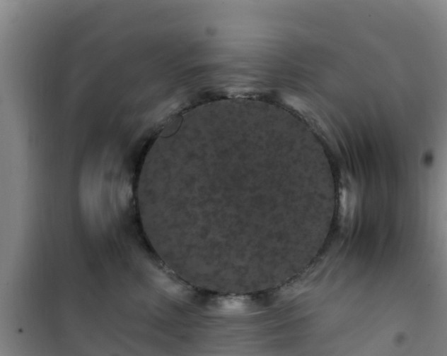X0000101100618200807031752