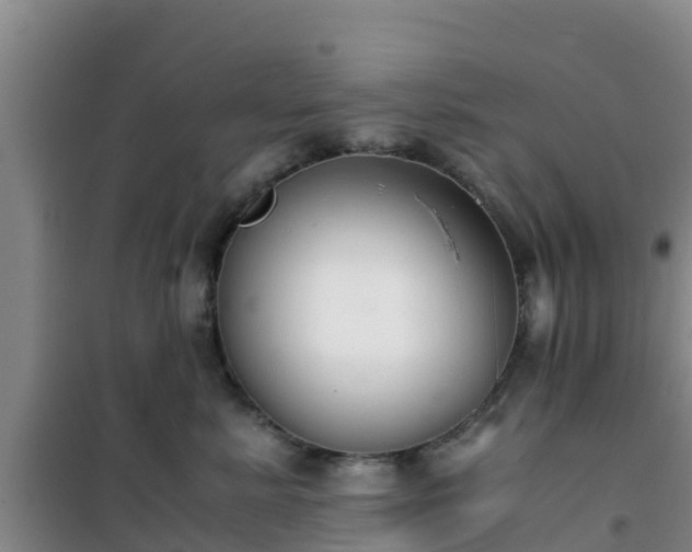 X0000101100619200807031752