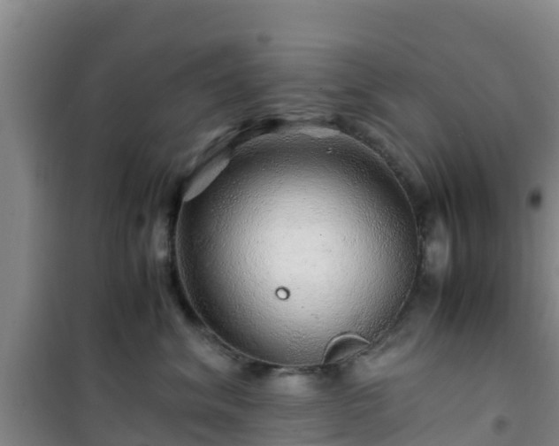 X0000101100620200807031752