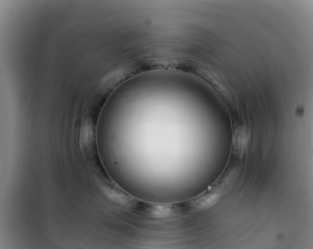 X0000101100623200807031752