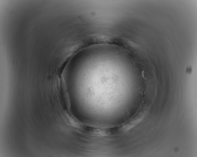 X0000101100624200807031752