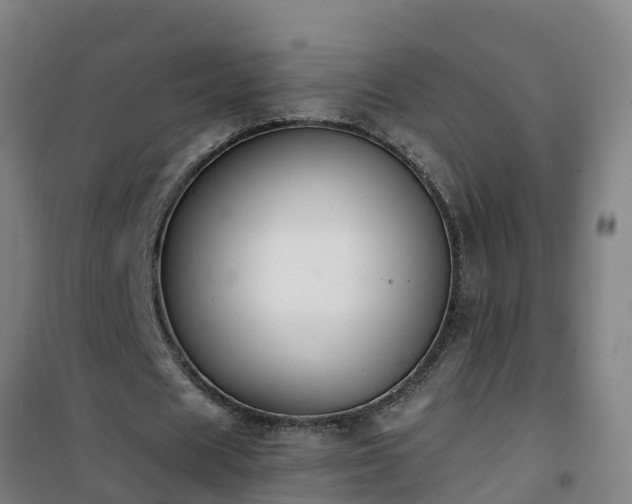 X0000101100625200807031751