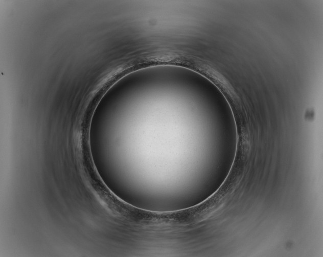 X0000101100626200807031751