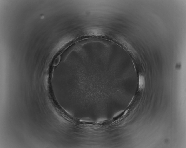 X0000101100627200807031751