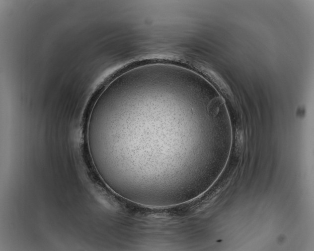 X0000101100628200807031751