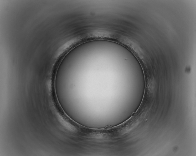 X0000101100629200807031751