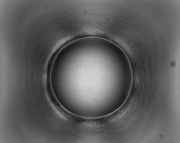 X0000101100630200807031751