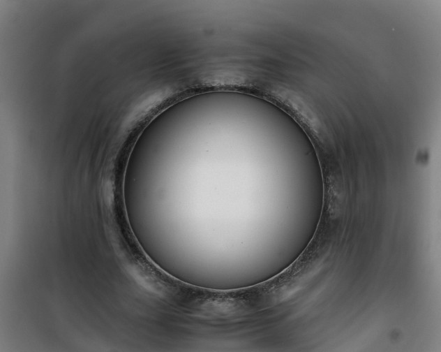 X0000101100631200807031751