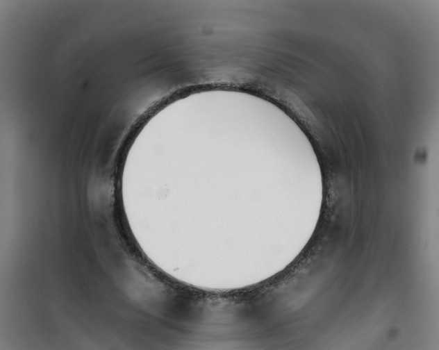 X0000101100632200807031751