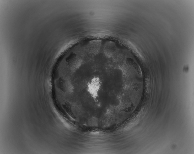 X0000101100634200807031751