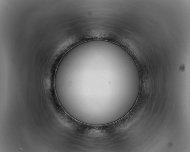X0000101100635200807031751
