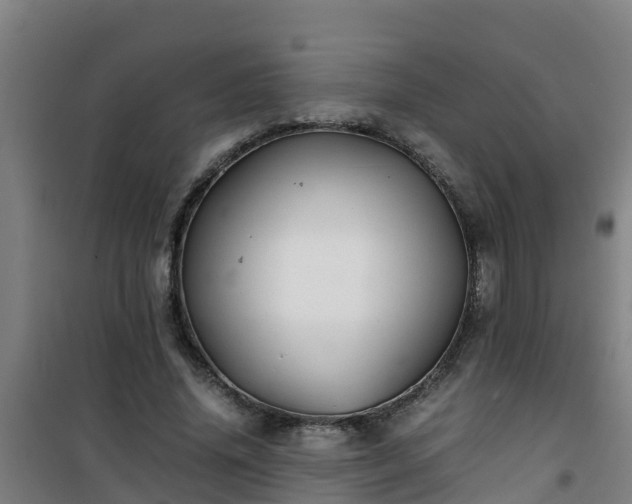 X0000101100636200807031751